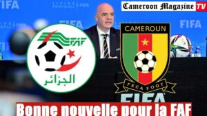 ALGERIE-CAMEROUN: Incroyable, la FAF reçoit du positif de la FIFA